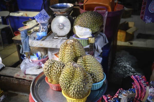 Durian, known as the king of fruits, is a large, spiky tropical fruit famously popular in Thailand and known for its strong, pungent odour, for sale at Maeklong Railway market, Asia
