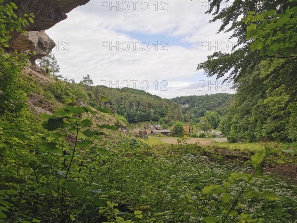 View through dense vegetation of a landscape with meadow, forest and buildings, hiking in the Franconian Forest nature park Park