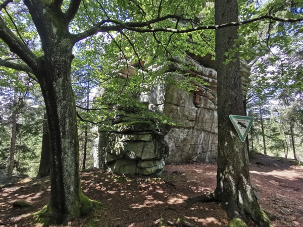 Large rock in the forest, surrounded by tall trees and a sign, Franconian mountain trail, hiking in the Fichtelgebirge nature park Park