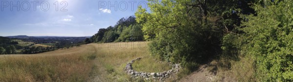 Wide landscape with fields and forest under clear, sunny skies, hiking in the Franconian Forest nature park Park