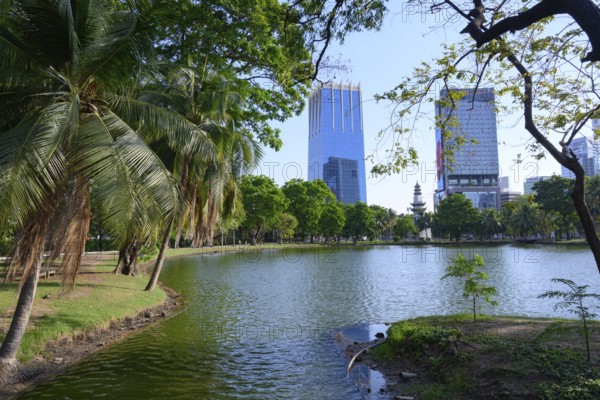 Bangkok, Thailand. March 4th 2025. A rare urban green space in the city centre, high rise modern buildings surrounding Lumphini Park, Bangkok