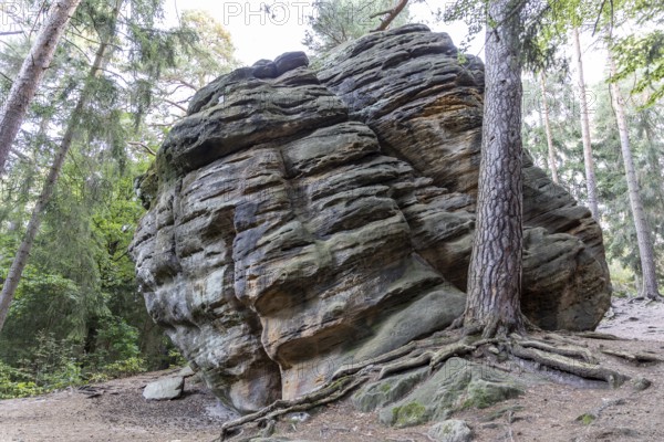 Einsiedlerstein rock formation in the Dippoldiswald Heath, Saxony, Germany