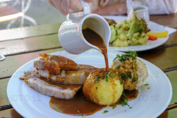 Roast pork with dumplings and sauce, Steiner Bräustüberl, Stein an der Traun, Chiemgau, Upper Bavaria, Bavaria, Germany