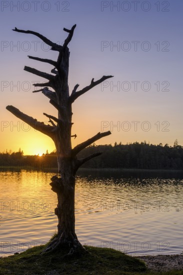 Sunset at Fonsee, Ostersee, near Iffeldorf, Upper Bavaria, Bavaria, Germany