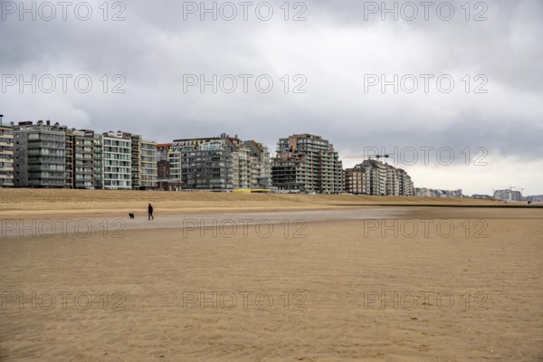 The skyline of Knokke-Heist, on the North Sea beach, dreary winter day, mostly apartment buildings with rental or condominiums, high-rise buildings on the Zeedijk-Knokke road, Belgium