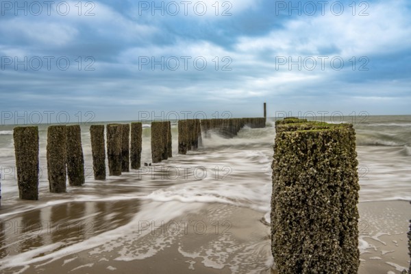 Coastal protection, through wooden posts, paalhoofden, on the beach, breakwater, the piles, some of which are rammed into the sandy soil in double rows, slow down the waves and ocean currents and thus slow down the flow rate of seawater, so less sand is washed away from the stand, near Domburg, Walcheren peninsula in the Dutch province of Zeeland