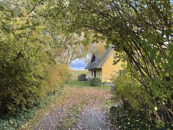 Künstlerdorf and Baltic resort Ahrenshoop, architecture, tradition, houses with thatched roofs, reed roofs, idyllic, Darss-Zingster Boddenkette, Baltic Sea, peninsula, nature, autumn, nature reserve, Fischland-Darss-Zingst, Mecklenburg-Western Pomerania, Germany