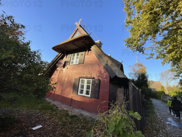 Künstlerdorf and Baltic resort Ahrenshoop, Künstlerhaus Schreyer, architecture, tradition, houses with thatched roofs, reed roofs, idyllic, Darss-Zingster Bodden chain, Baltic Sea, peninsula, nature, autumn, nature reserve, Fischland-Darss-Zingst, Mecklenburg-Western Pomerania, Germany