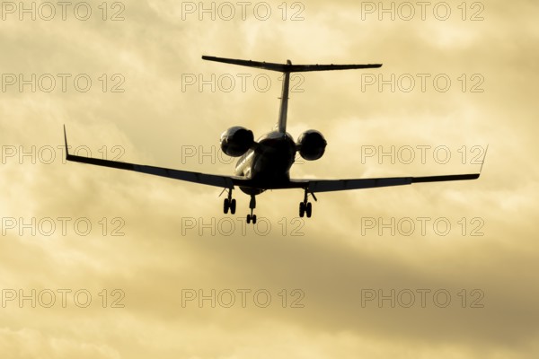 Gulfstream GIV SP XA-FDM executive business jet aircraft in flight on approach to land silhouette at sunset at London Stansted airport, Essex, England, United Kingdom