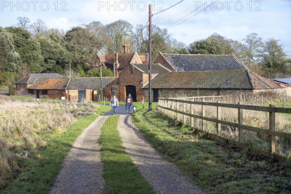 Two people walking a dog on country lane track near farm buildings at Martlesham Wilds, Suffolk, England, UK