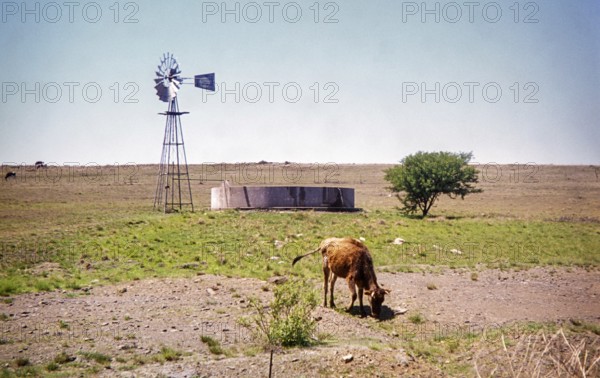 Water trough fed by a functioning windmill on a farm in a dry, rural landscape, likely in the Karoo region of South Africa