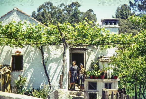 Two women standing outside a traditional rural house with grapevines growing in the garden, Portugal, Europe 1968