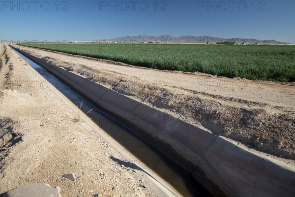 Buckeye, Arizona - A ditch carries irrigation water to crops growing on a farm in the Arizona desert. Water availability is an increasing problem as drought affects the western U.S