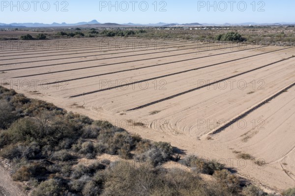 Buckeye, Arizona - A dry farm field in the Arizona desert. The drought in the U.S. west is making water for crop irrigation more difficult