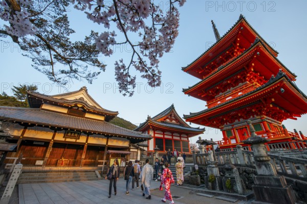 Sanjunoto Pagoda, Zuigu-do and Kyodo Hall in the evening light, Kiyomizu-dera Temple, in the evening light, Buddhist temple complex, Higashiyama, Kyoto