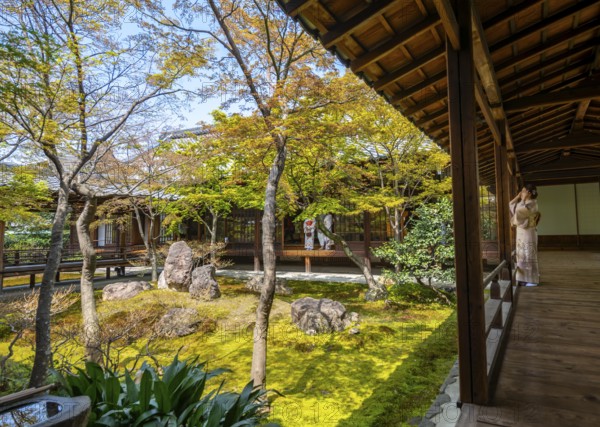 Japanese woman dressed in kimono in Kennin-ji Buddhist temple, O-shoin courtyard with Shione garden, Higashiyama, Kyoto, Japan
