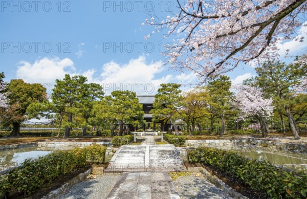 Sammon or Bogetsuro Gate with cherry blossoms, entrance to Kennin-ji Zen Buddhist Temple, Higashiyama, Kyoto, Japan