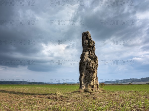 The menhir of Benzingerode, with a height of 3.85 m the largest prehistoric menhir in northern Germany, Wernigerode, Harzvorland, Saxony-Anhalt, Germany