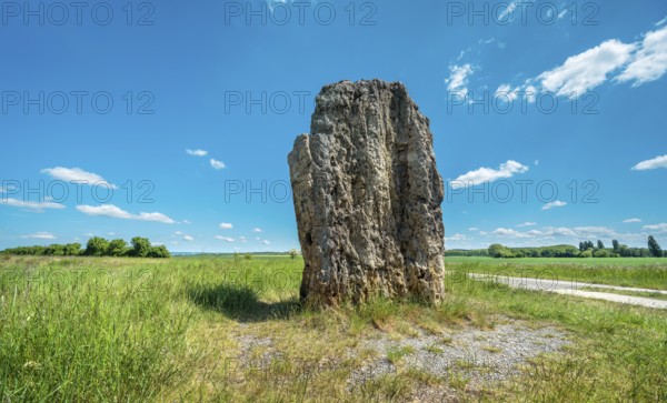 The menhir of Derenburg, height 2, 9m, Wernigerode, Harzvorland, Saxony-Anhalt, Germany