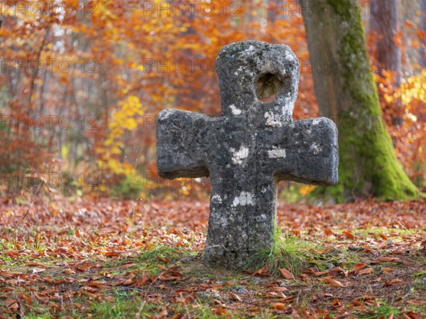 Medieval stone cross in the forest in autumn, atonement cross, murder cross, court cross, Spaal desert, Uhlstädt-Kirchhasel, Thuringia, Germany