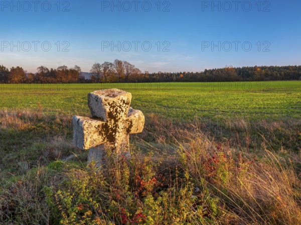 Medieval stone cross on the edge of the field in autumn, Sühnekreuz, Mordkreuz, Liebenstein, Thuringia, Germany