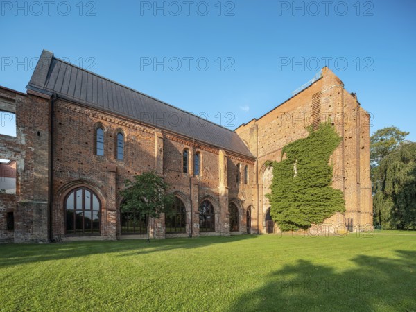 Ruin of Gothic monastery church, North German brick Gothic, brick architecture, Dargun, Mecklenburg-Western Pomerania, Germany