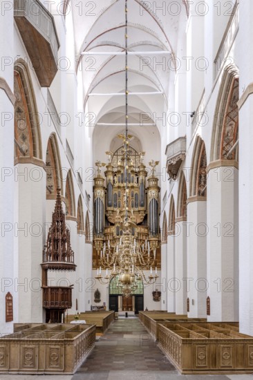 Interior of the Gothic St. Mary's Church with pulpit and organ, Hanseatic City of Stralsund, Mecklenburg-Western Pomerania, Germany