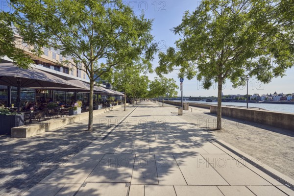 Grissini restaurant and terrace, outdoor area, gastronomy, Rhine river, concrete wall, waterfront, footpath made of paving slabs, city trees, blue sky, cloudless, Kennedy shore, Cologne, district-free city, North Rhine-Westphalia, Germany