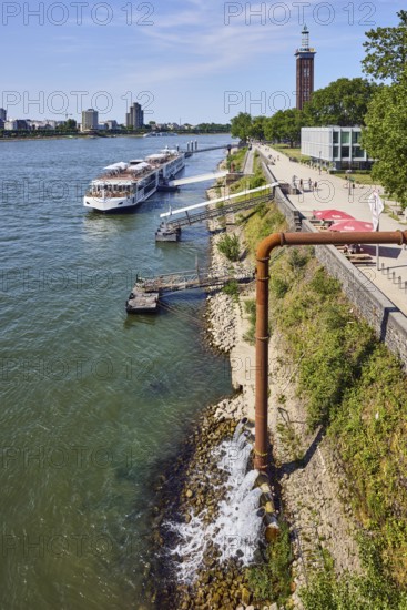 Rhine river, Rheinhallen exhibition halls, brick architecture, exhibition tower, general architecture, high-rise buildings, waterfront, river cruise ship Viking Einar, Viking Cruises, pier, Duckdalben, gangway, wharf, wharf, trees, bird's-eye view, blue sky, cirrus clouds, Kennedy shore, Cologne, district-free city, North Rhine-Westphalia, Germany