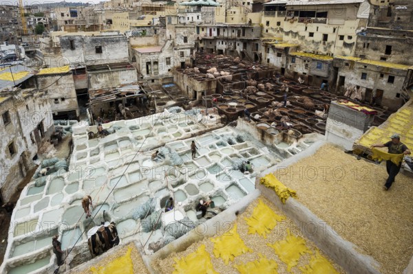 Chouwara tanning and dyeing district, Fez El Bali, Medina, UNESCO World Heritage Site, Fez, Morocco