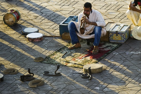 Snake charmers on Place Djemma el-Fna, Juklerplatz, UNESCO World Heritage Site, Marrakech, Morocco