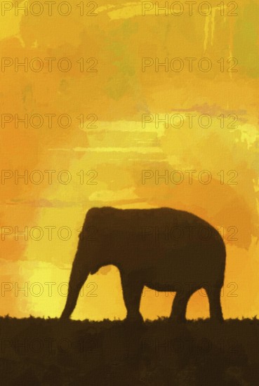 Elephant background template