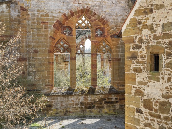 Gnadenberg Abbey, former monastery of the Birgitten Order, Gothic tracery window on the ruins of the monastery church, municipality of Berg near Neumarkt in der Upper Palatinate, Bavaria, Germany