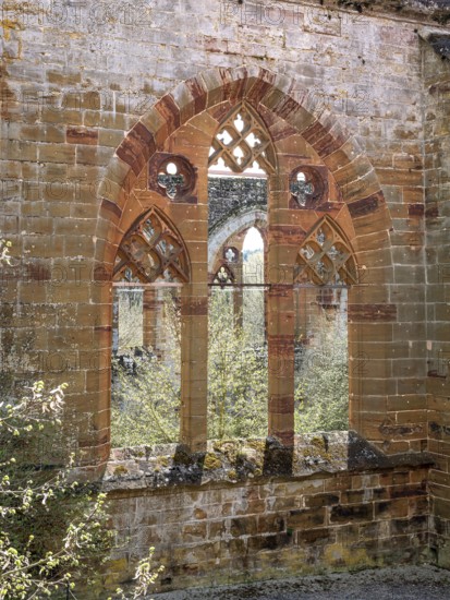 Gnadenberg Abbey, former monastery of the Birgitten Order, Gothic tracery window on the ruins of the monastery church, municipality of Berg near Neumarkt in der Upper Palatinate, Bavaria, Germany