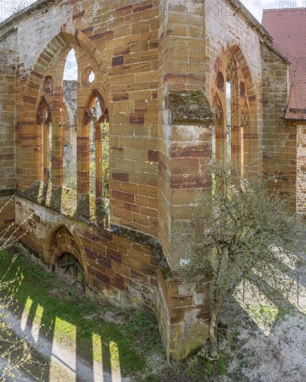 Gnadenberg Abbey, former monastery of the Birgitten Order, Gothic tracery windows on the ruins of the monastery church, municipality of Berg near Neumarkt in der Upper Palatinate, Bavaria, Germany