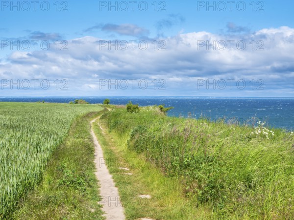 Hiking trail on the stormy Baltic Sea with foam crowns, Boltenhagen, Mecklenburg-Western Pomerania, Germany