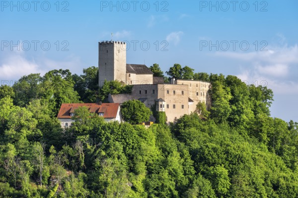 View of Falkenstein Castle, Falkenstein, Bavarian Forest, Upper Palatinate, Bavaria, Germany