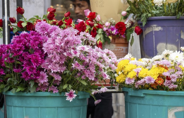 Buckets of assorted flowers, including chrysanthemums and roses, displayed at a flower shop on Valentine's Day in Guwahati, India, on 14 February 2026
