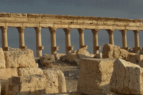 Palmyra, Syria. April 10th 2011 Roman columns at the ruined city of Palmyra in the Syrian desert