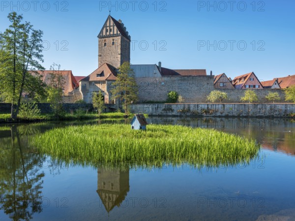 View across the Rothenburg pond to the historic old town with city wall and Rothenburg Gate, Romantic Road, Dinkelsbühl, Middle Franconia, Bavaria, Germany