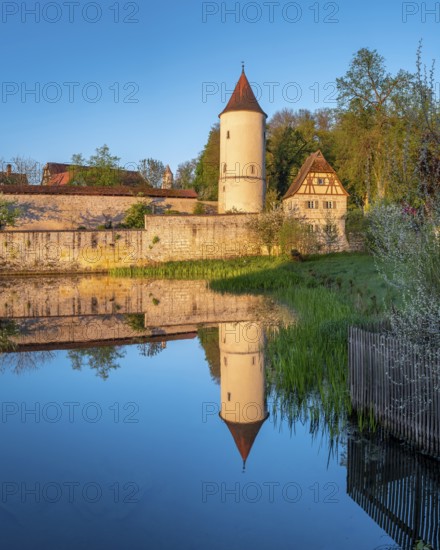 Digestive tower with park guard house on the city wall in morning light, reflection in the Rothenburg pond, Romantic Road, Dinkelsbühl, Middle Franconia, Bavaria, Germany