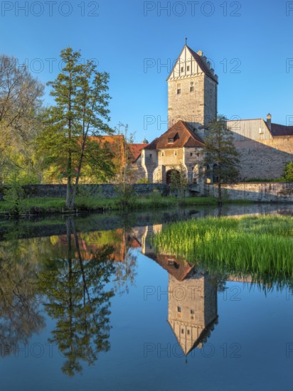 View across the Rothenburg pond to the historic old town with city wall and Rothenburg Gate, Romantic Road, Dinkelsbühl, Middle Franconia, Bavaria, Germany