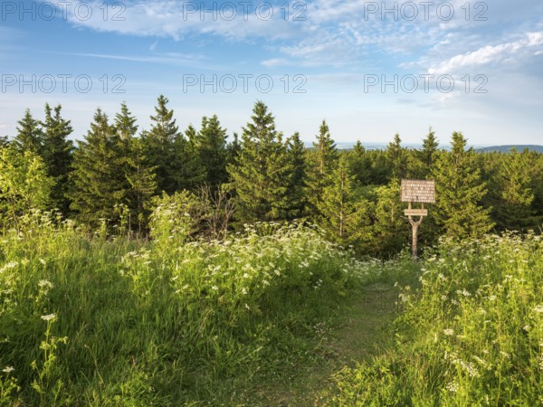 Hiking trail with signpost on the Schneekopf in the Thuringian Forest, Gehlberg, Thuringia, Germany