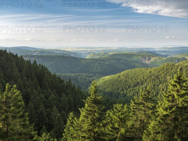 View of endless green forests on Schneekopf in the Thuringian Forest, Gehlberg, Thuringia, Germany