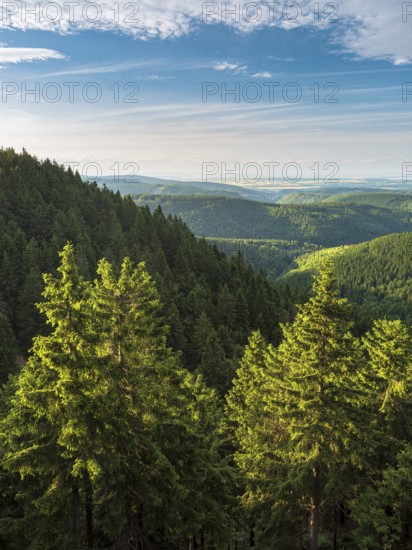 View of endless green forests on Schneekopf in the Thuringian Forest, Gehlberg, Thuringia, Germany