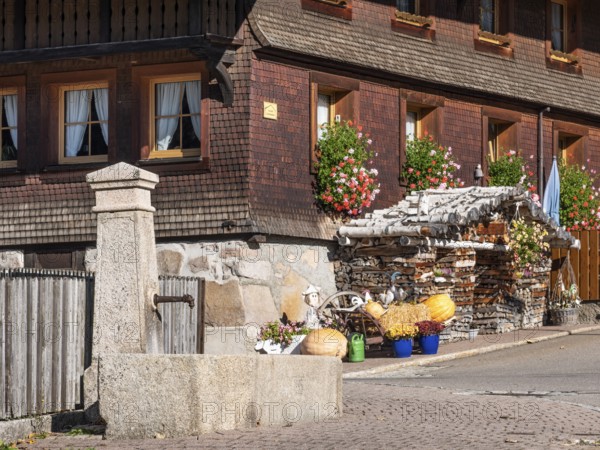 Typical Black Forest house, fountain, window with flowers and firewood in front of the shingle façade, Menzenschwand, Black Forest, Baden-Württemberg, Germany