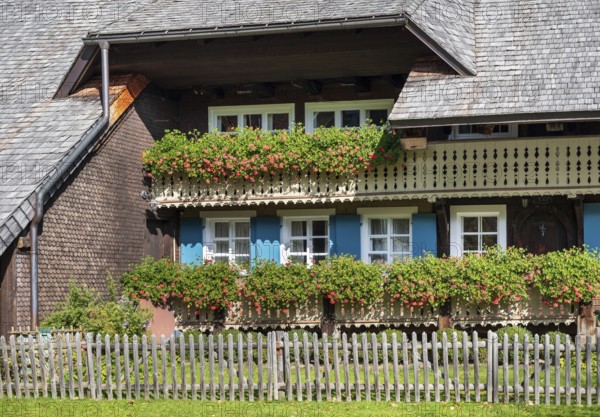 Typical Black Forest house, balconies with flowers, Menzenschwand, Black Forest, Baden-Württemberg, Germany
