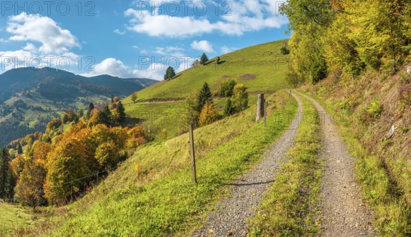 Hiking trail near Wieden in autumn, Black Forest, Baden-Württemberg, Germany