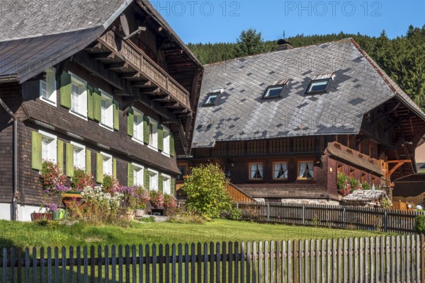 Typical Black Forest houses, windows with flowers, Menzenschwand, Black Forest, Baden-Württemberg, Germany