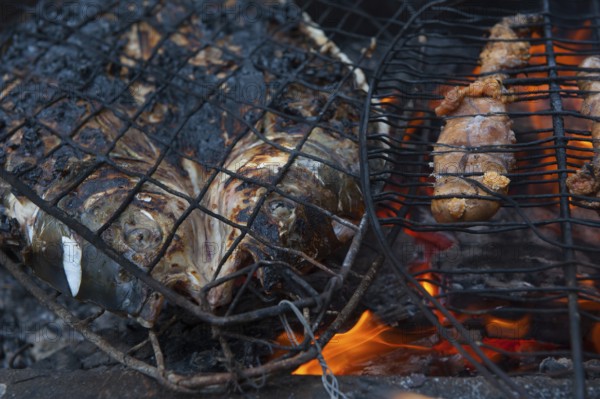 Preparing and grilling fresh fish from the River Euphrates, known locally as Masgouf, it's traditionally cooked over an open fire in the southern marshes of Iraq